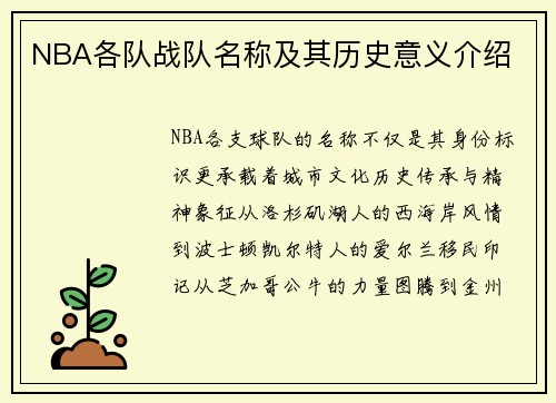 NBA各队战队名称及其历史意义介绍